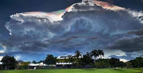 Darwin Cloud.